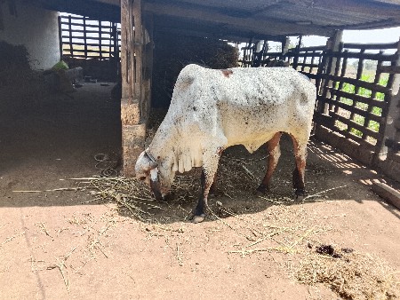 थंबनेल 3