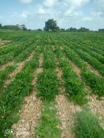 ખેતી કામ માટે