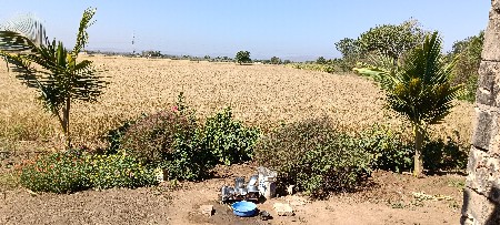 થંબનેલ 3