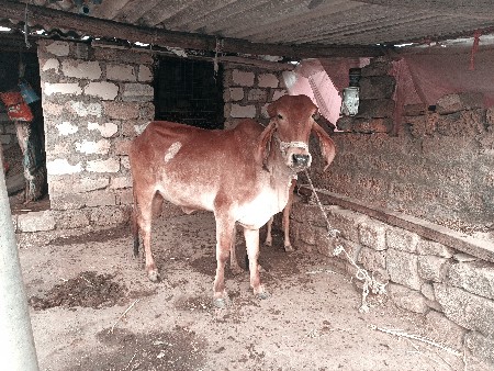 थंबनेल 3