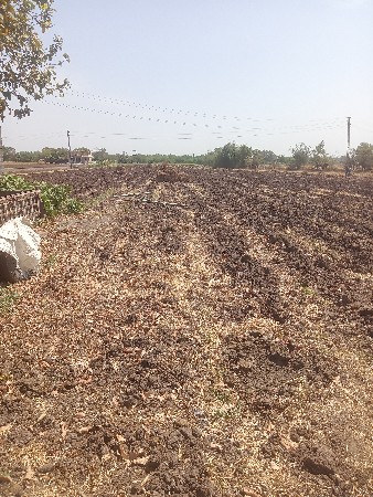 સામંતભાઈ અરજણભાઇ પીઠીયા