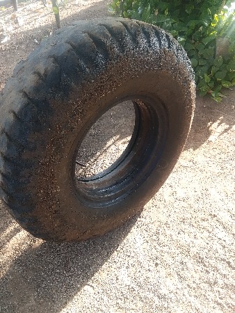 થંબનેલ 3