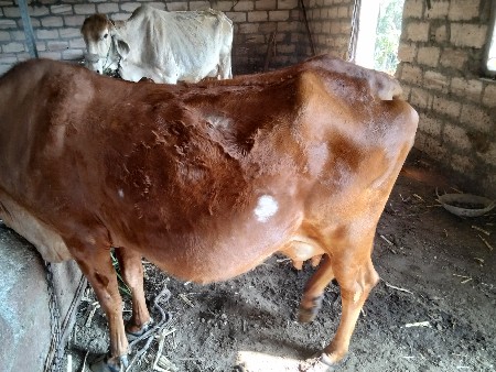 थंबनेल 2