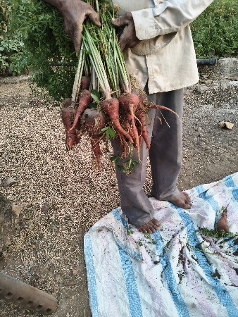 થંબનેલ 2