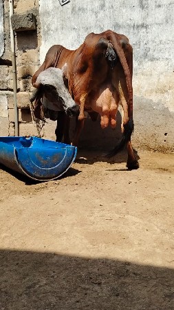 थंबनेल 3