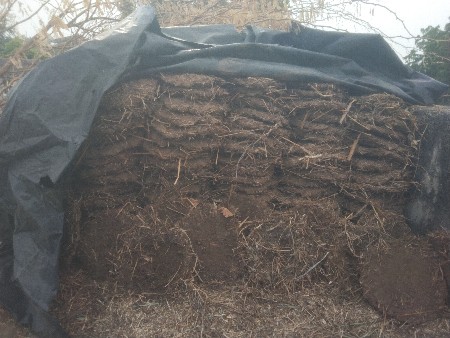 દેશી ગાય ના છાણા (dung)