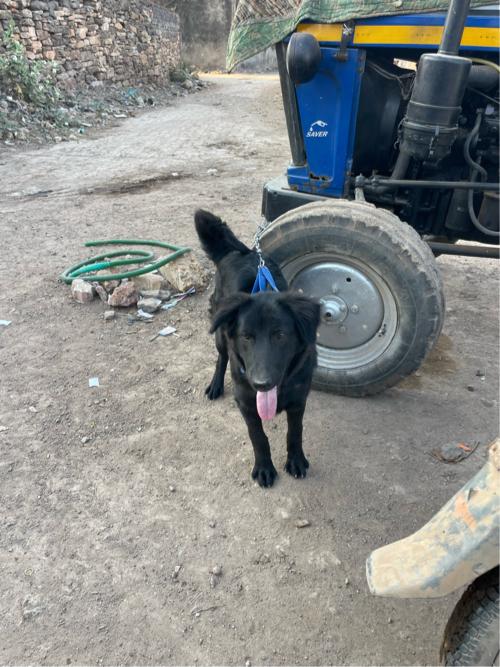 થંબનેલ 3