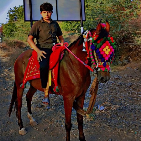 ઘોડી વેચવાની ની છે સાવ સોજી