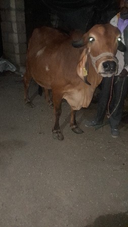 थंबनेल 3