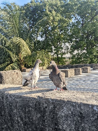 थंबनेल 2