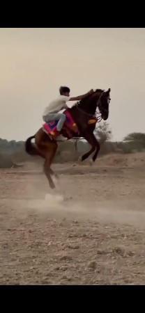 थंबनेल 3