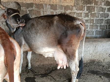 थंबनेल 3