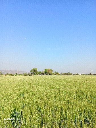 થંબનેલ 3