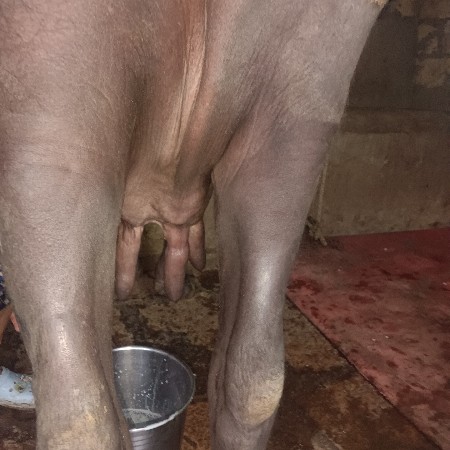 थंबनेल 3