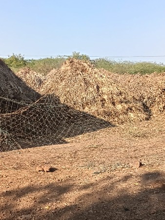 ગુંદર (નીણ)