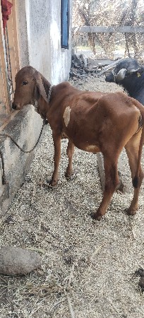 थंबनेल 3