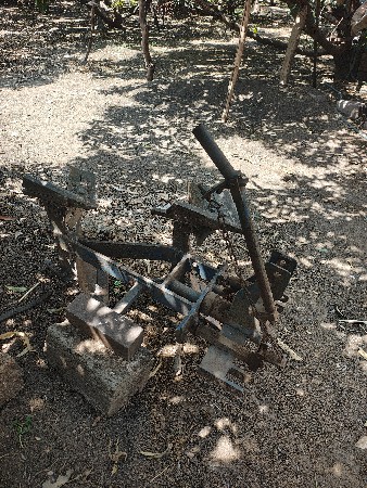 થંબનેલ 3