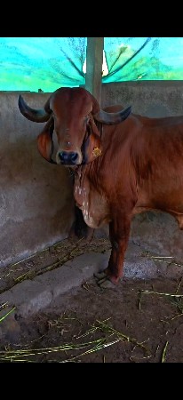 थंबनेल 2