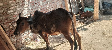 थंबनेल 2