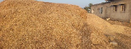 ભૂકો વેચવાનો છે