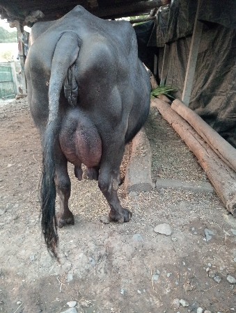 थंबनेल 2