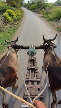 થંબનેલ 2