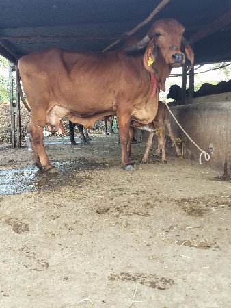 थंबनेल 2