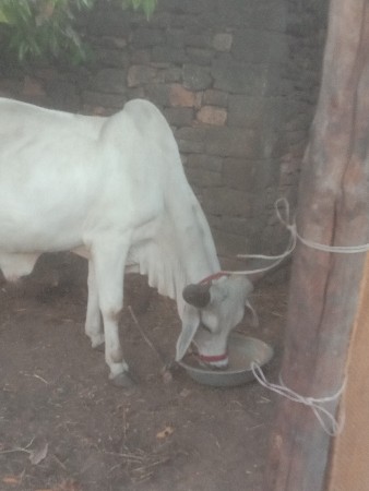 थंबनेल 3