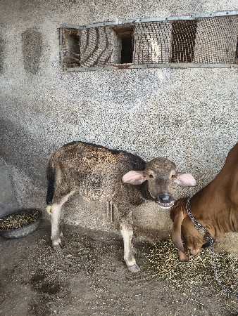 थंबनेल 3