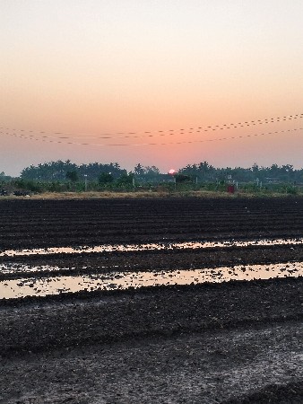 જમીન લેવા કે વેચવા?  કોલ કરો! 🏡