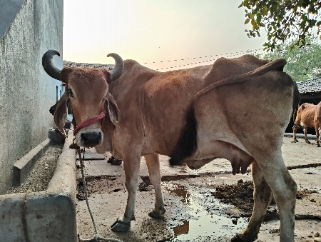 थंबनेल 2