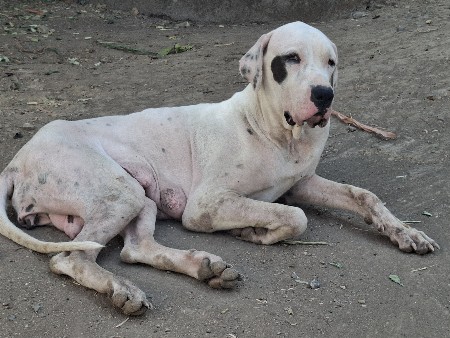 थंबनेल 2