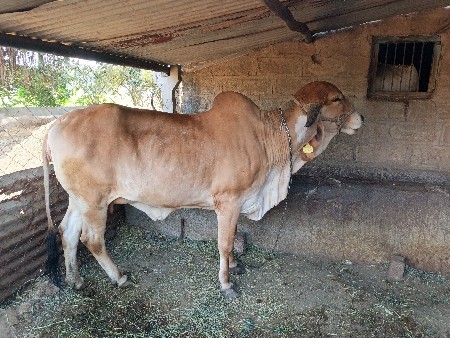 थंबनेल 2