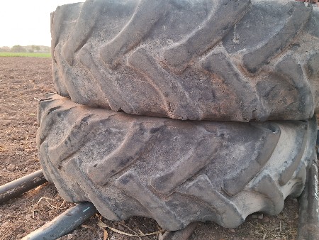 થંબનેલ 2