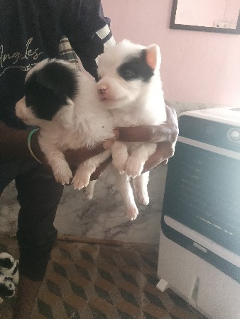 થંબનેલ 2