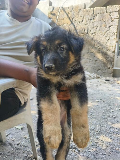 થંબનેલ 2