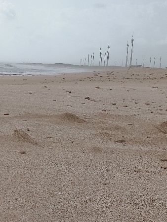 જમીન વેચવાની છે