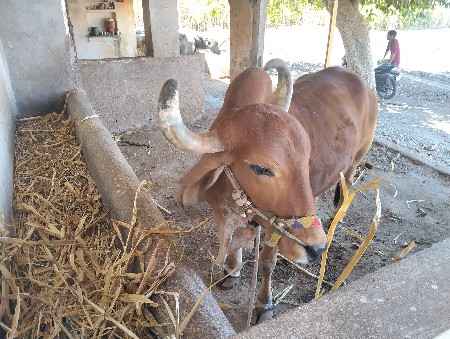 थंबनेल 3