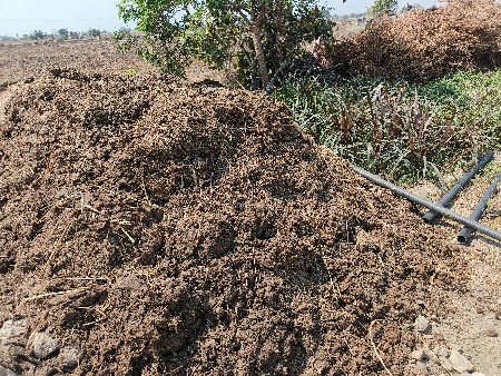 છાણીયું ખાતર