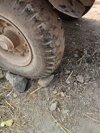 ટોલી. વેચવાની છે