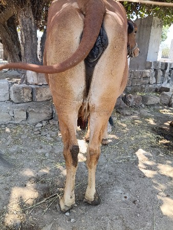 थंबनेल 2