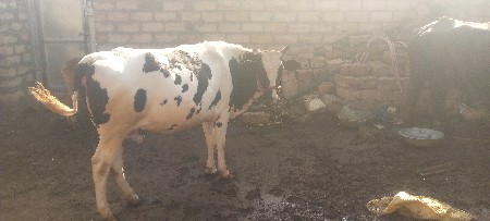 થંબનેલ 3