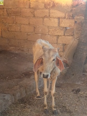 थंबनेल 3