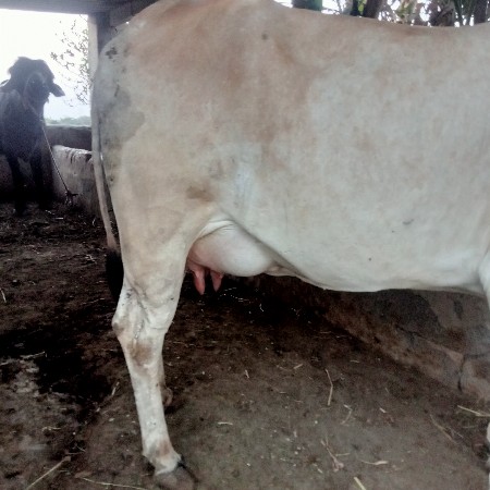 थंबनेल 2