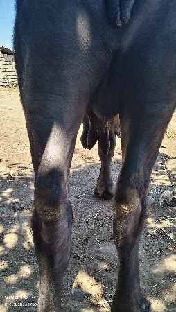 थंबनेल 2