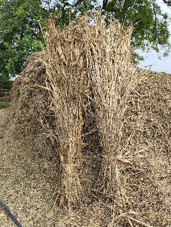 niran javar ni sar vesvani