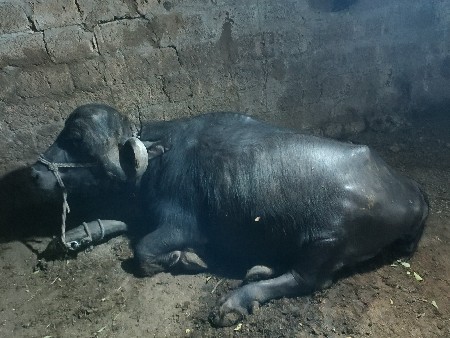 थंबनेल 2