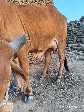 थंबनेल 2