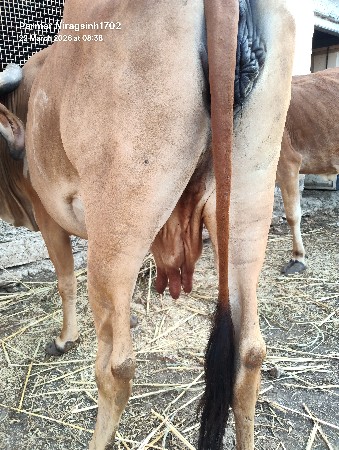 થંબનેલ 2