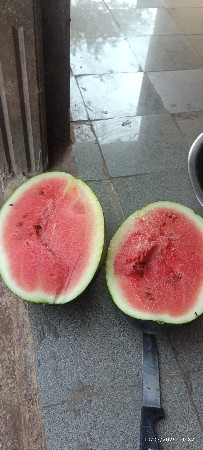 તરબૂચ વેચવાના છે